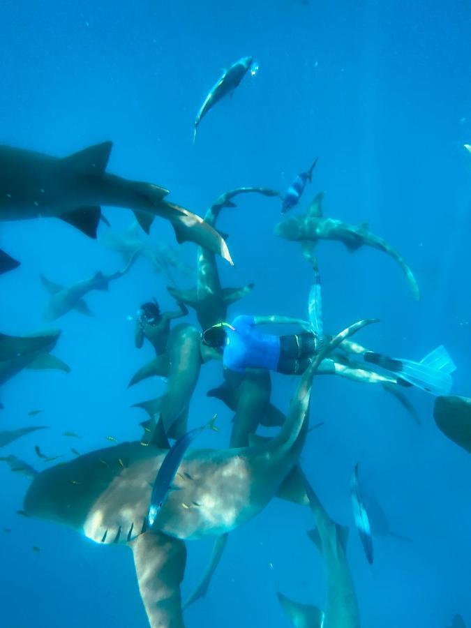 รีฟ เอดจ์ ทุลุสดู Hotel Thulusdhoo ภายนอก รูปภาพ