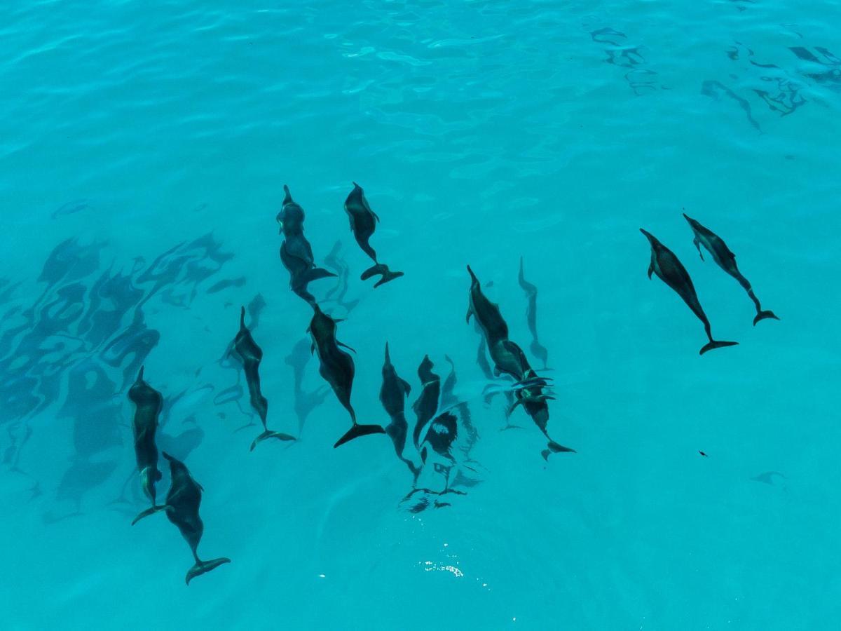 รีฟ เอดจ์ ทุลุสดู Hotel Thulusdhoo ภายนอก รูปภาพ