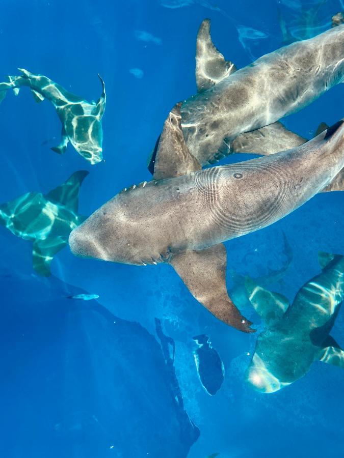รีฟ เอดจ์ ทุลุสดู Hotel Thulusdhoo ภายนอก รูปภาพ