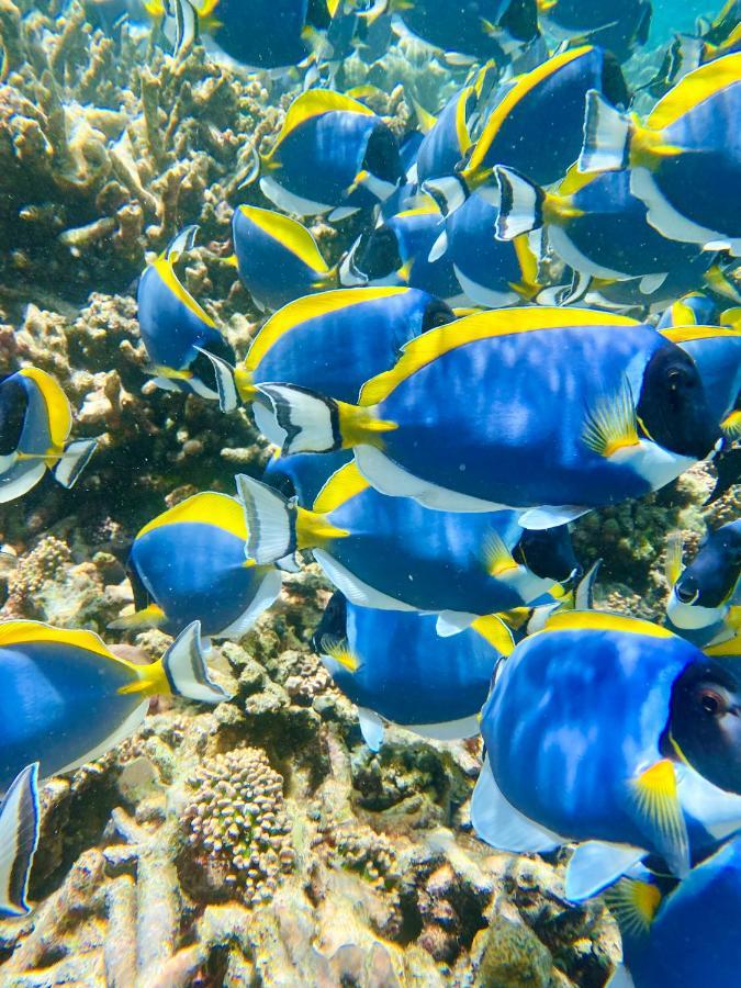 รีฟ เอดจ์ ทุลุสดู Hotel Thulusdhoo ภายนอก รูปภาพ